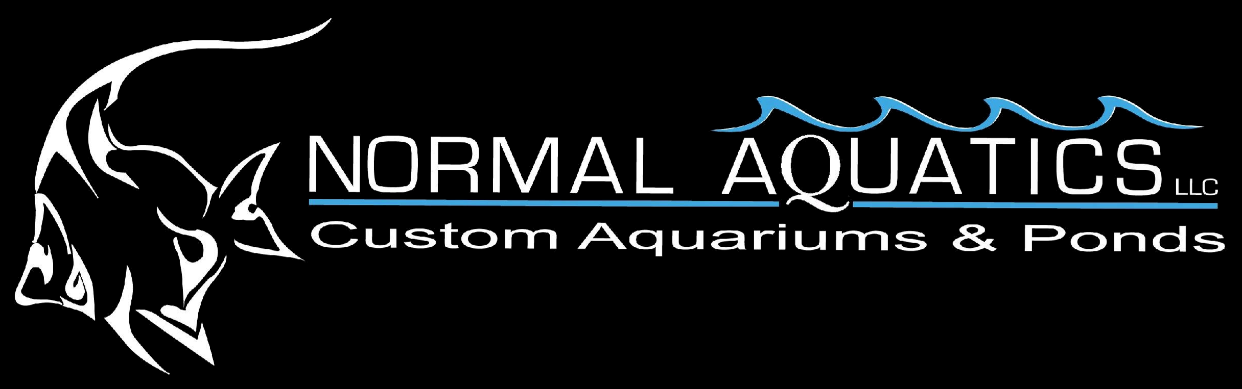 Custom Aquariums Connecticut | Maintenance & Installation 